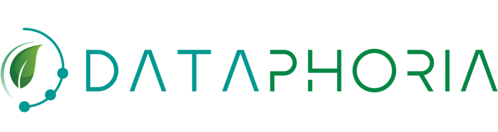 Dataphoria